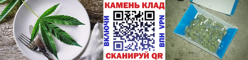 Cannafood конопля  Купить  Сунжа 
