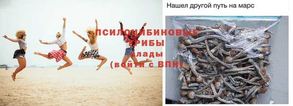apvp Осинники