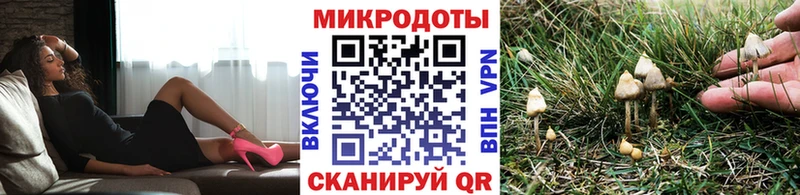 Галлюциногенные грибы мухоморы  Купить  Сунжа 