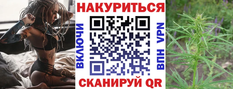 Канабис сатива  Купить  Сунжа 